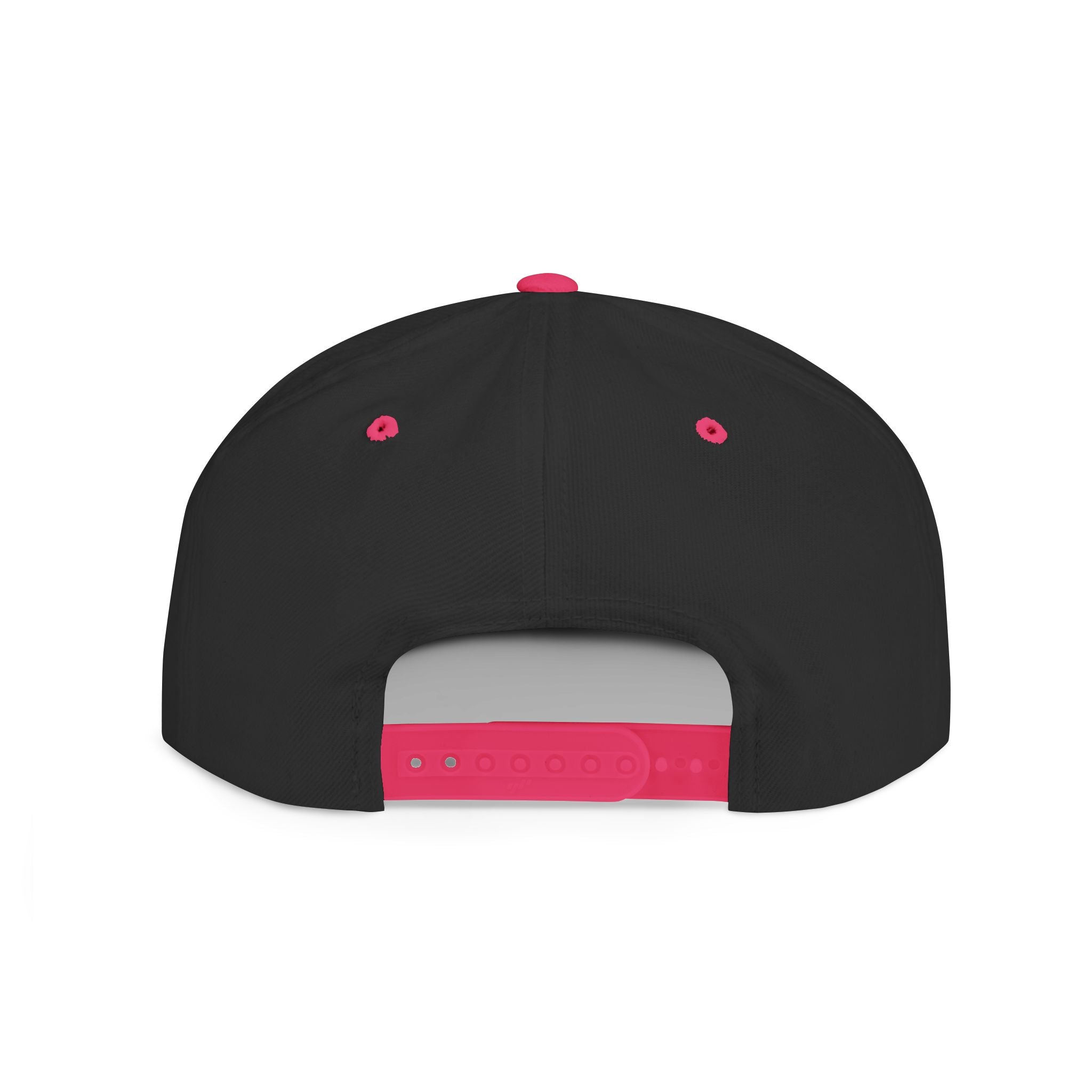 No Lowering Snapback — Vintage Patch