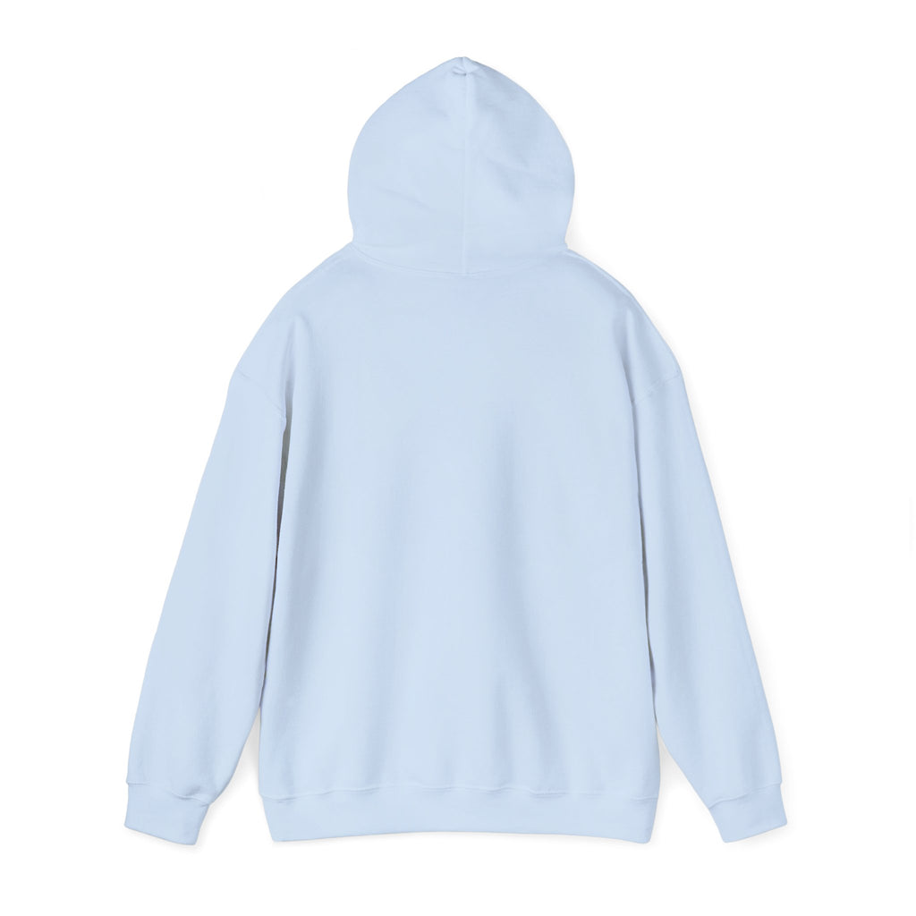 Standards No Lowering Hoodie — Vintage Shield Graphic Pullover