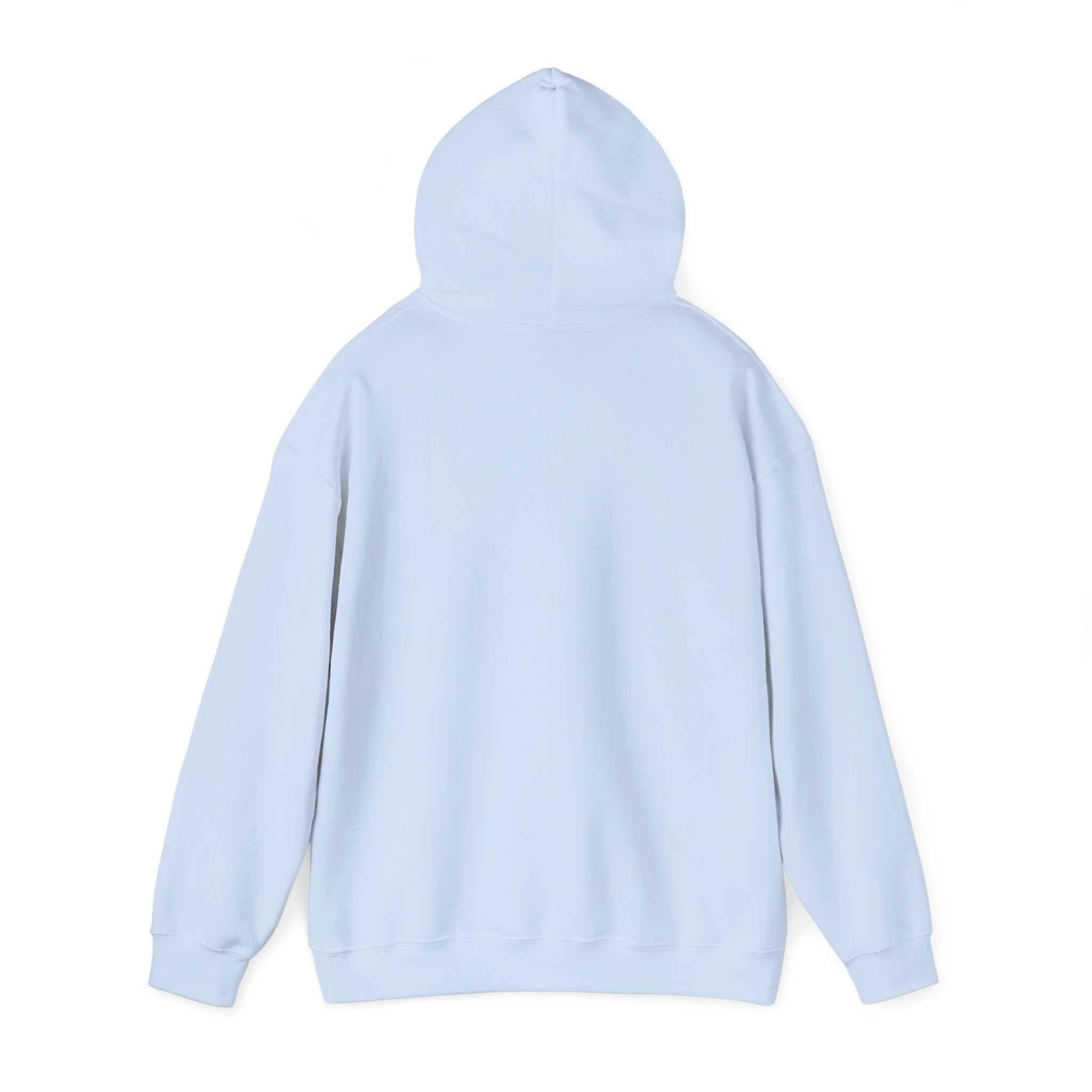 Standards No Lowering Hoodie — Vintage Shield Graphic Pullover
