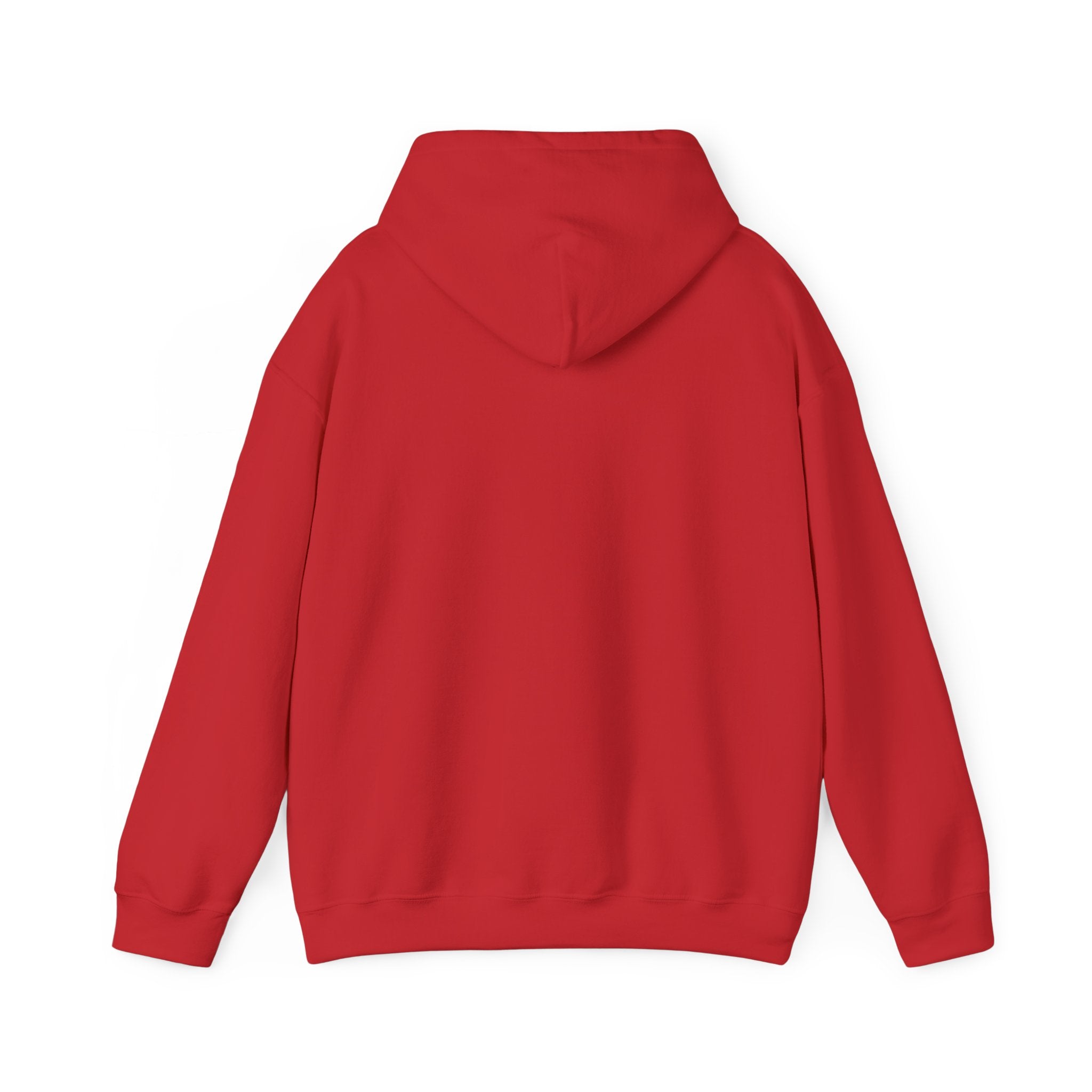 Standards No Lowering Hoodie — Vintage Shield Graphic Pullover