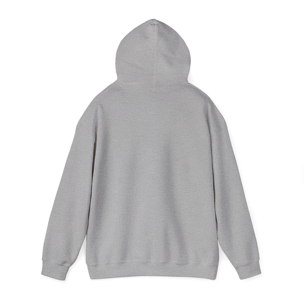 Standards No Lowering Hoodie — Vintage Shield Graphic Pullover