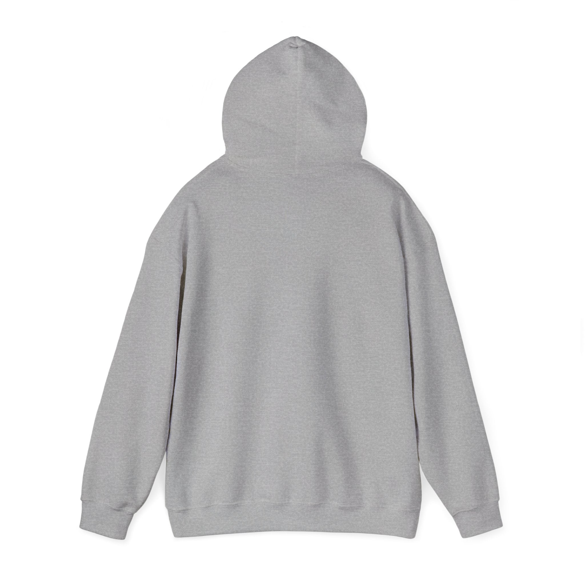 Standards No Lowering Hoodie — Vintage Shield Graphic Pullover