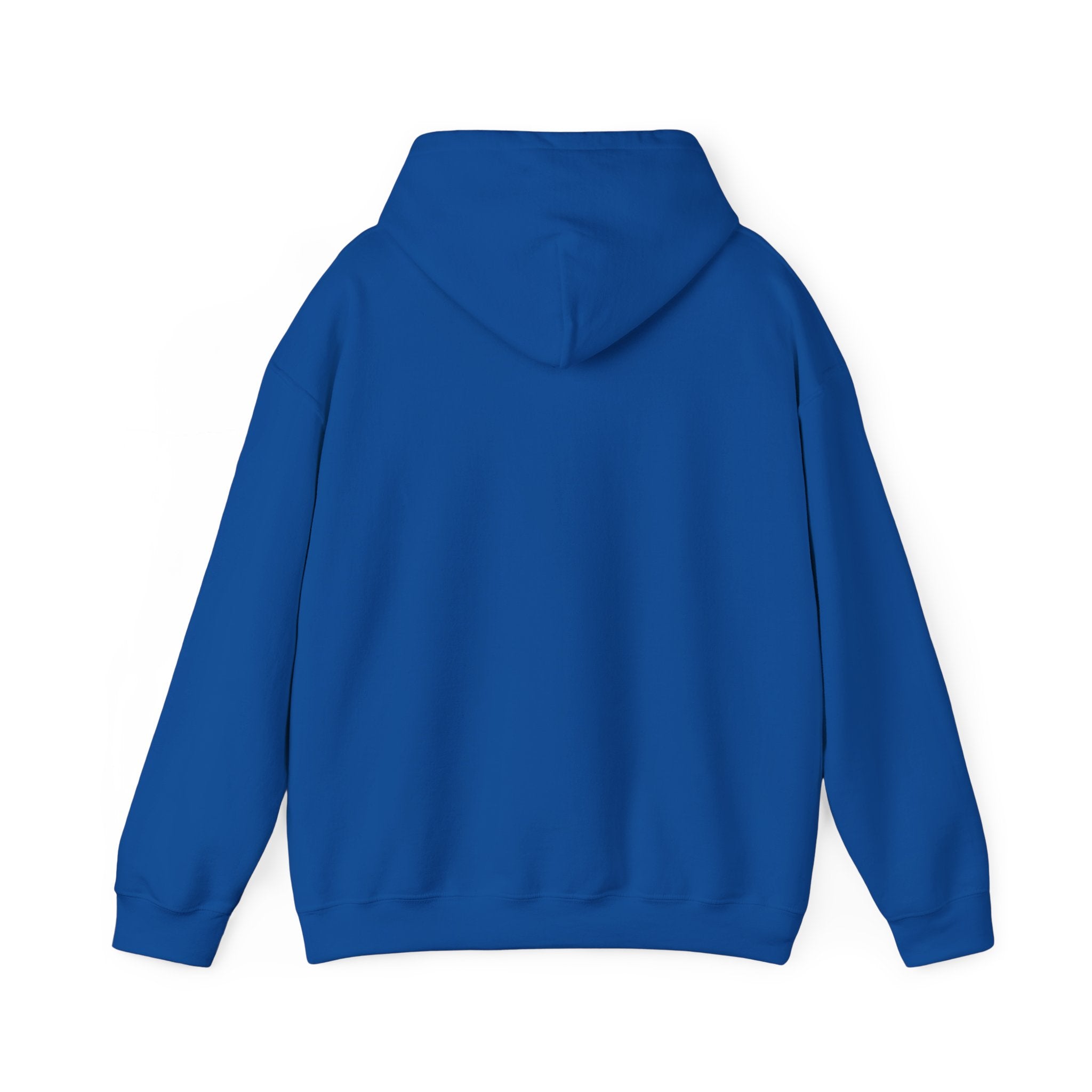 Standards No Lowering Hoodie — Vintage Shield Graphic Pullover
