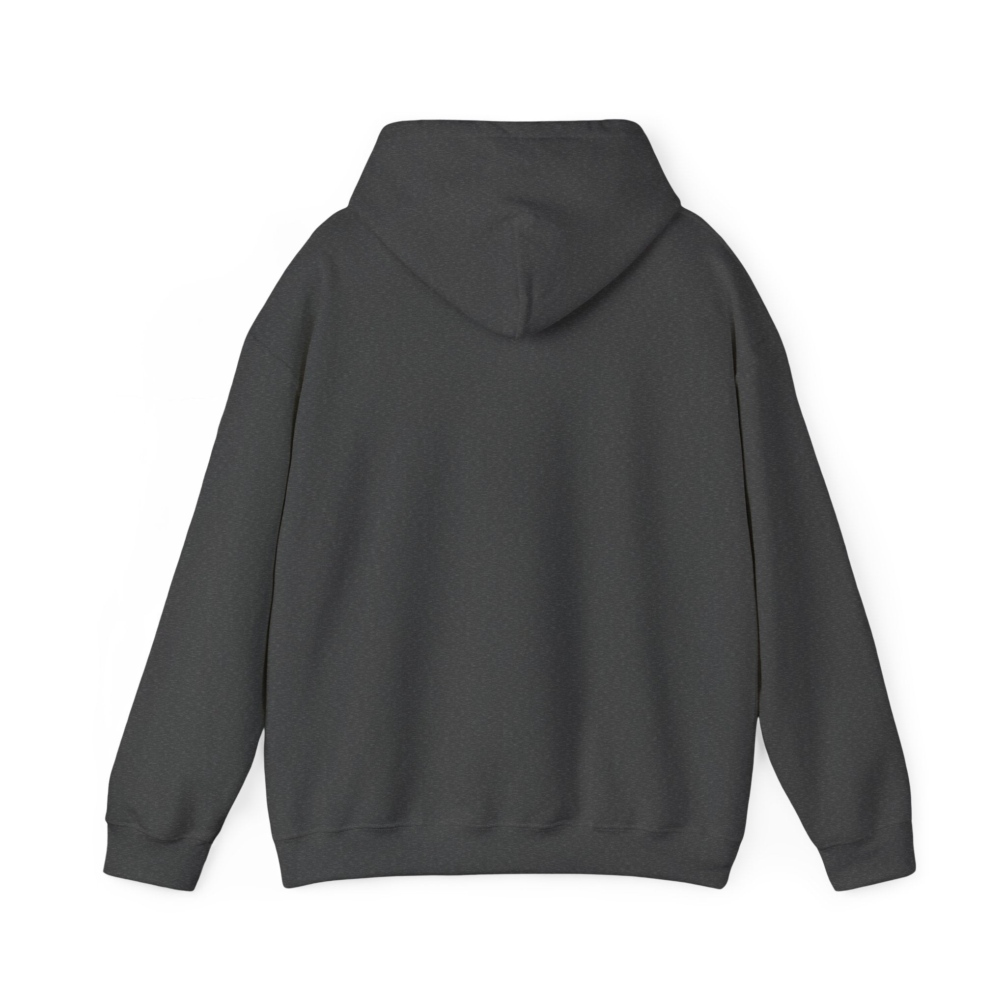 Standards No Lowering Hoodie — Vintage Shield Graphic Pullover