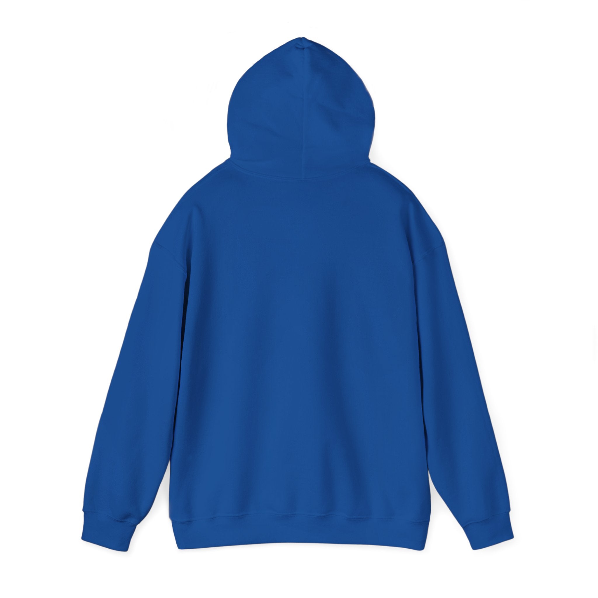 Standards No Lowering Hoodie — Vintage Shield Graphic Pullover