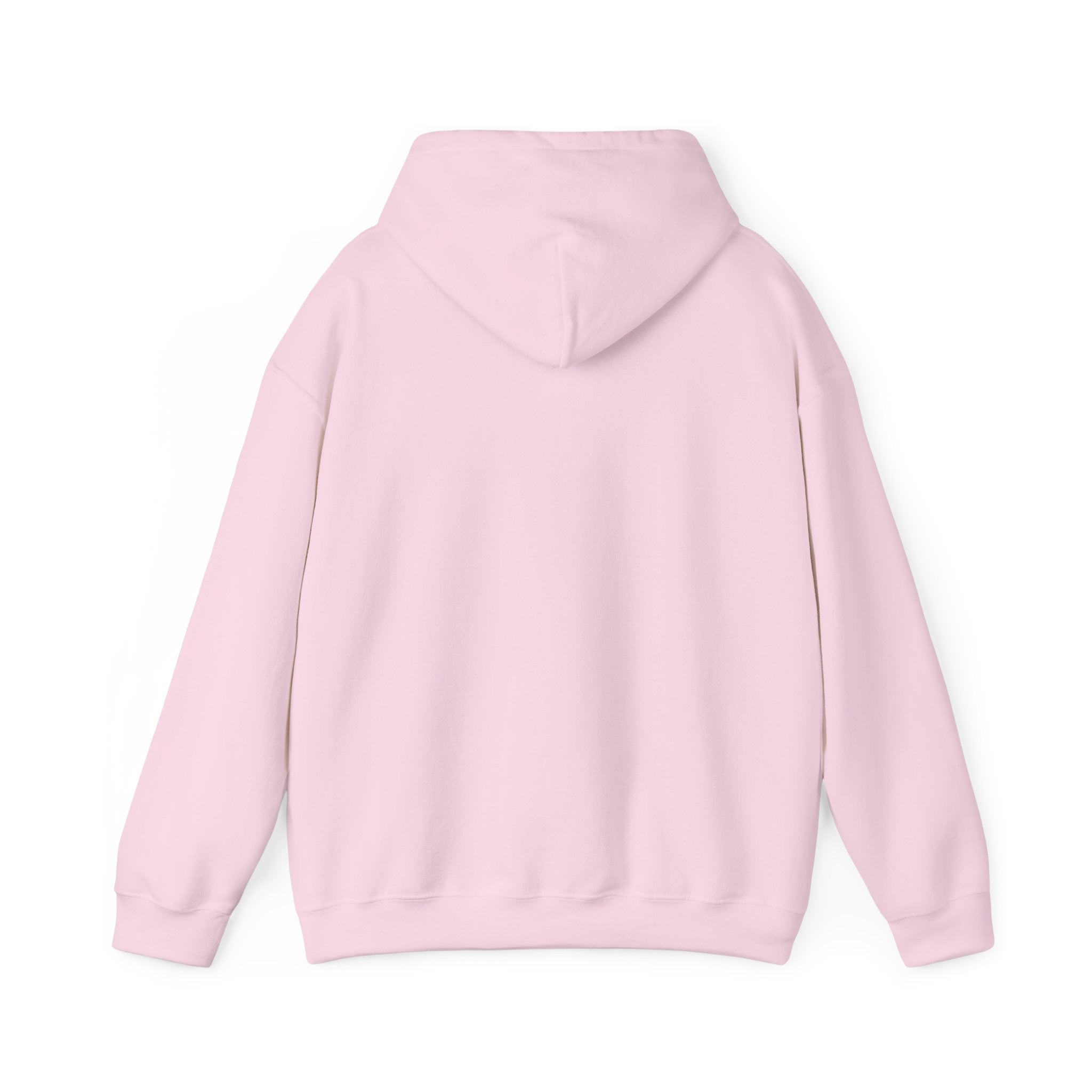 Standards No Lowering Hoodie — Vintage Shield Graphic Pullover
