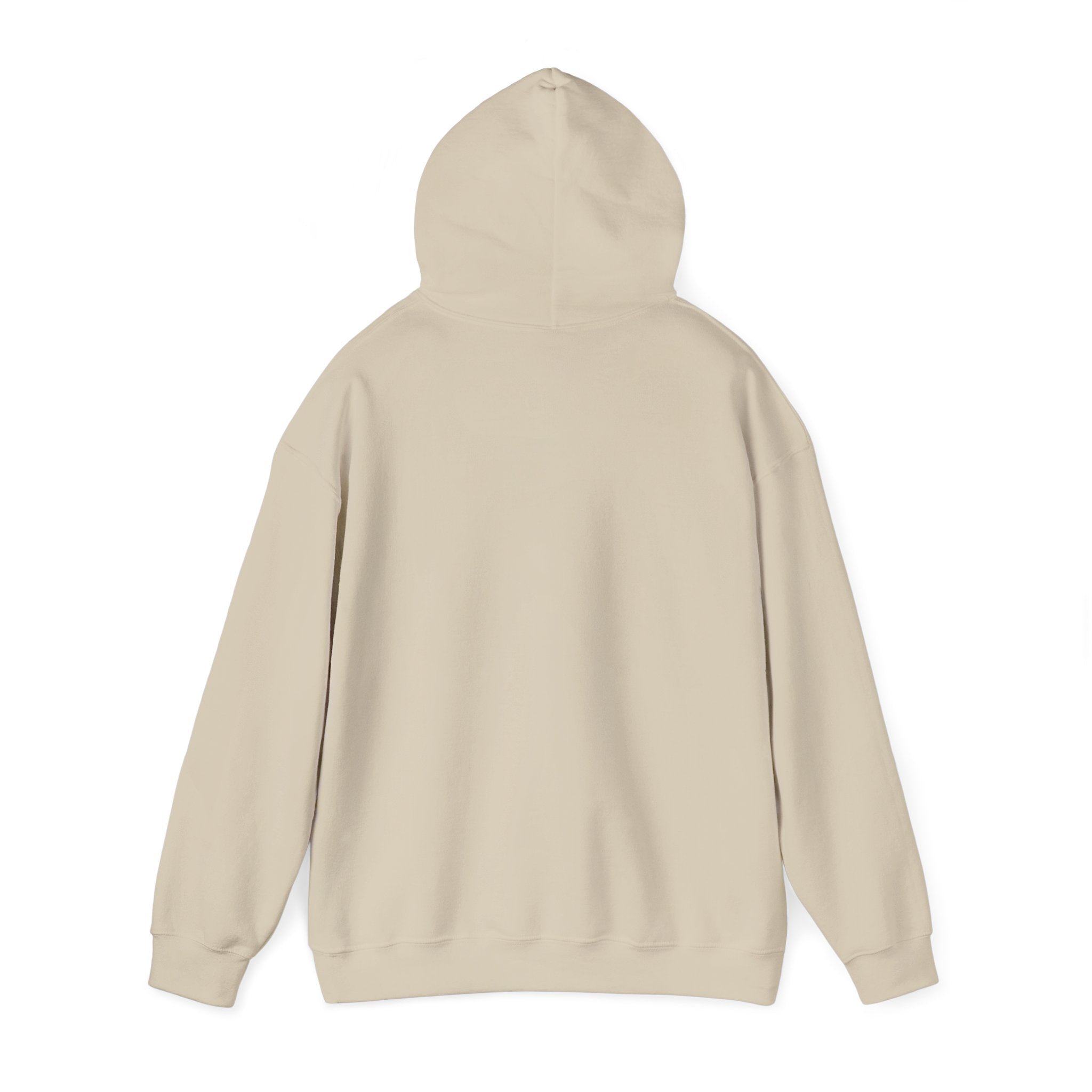 Standards No Lowering Hoodie — Vintage Shield Graphic Pullover