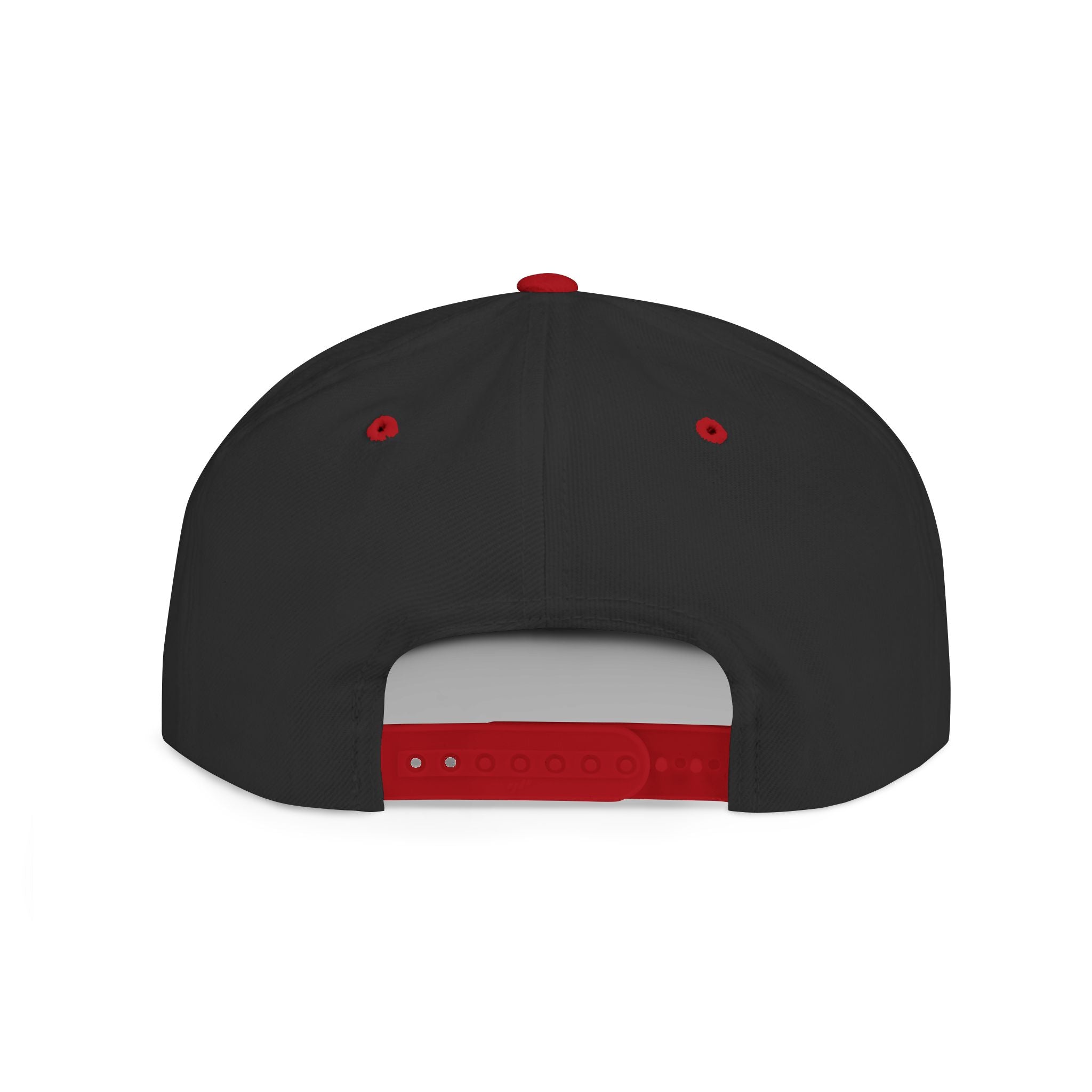 No Lowering Snapback — Vintage Patch