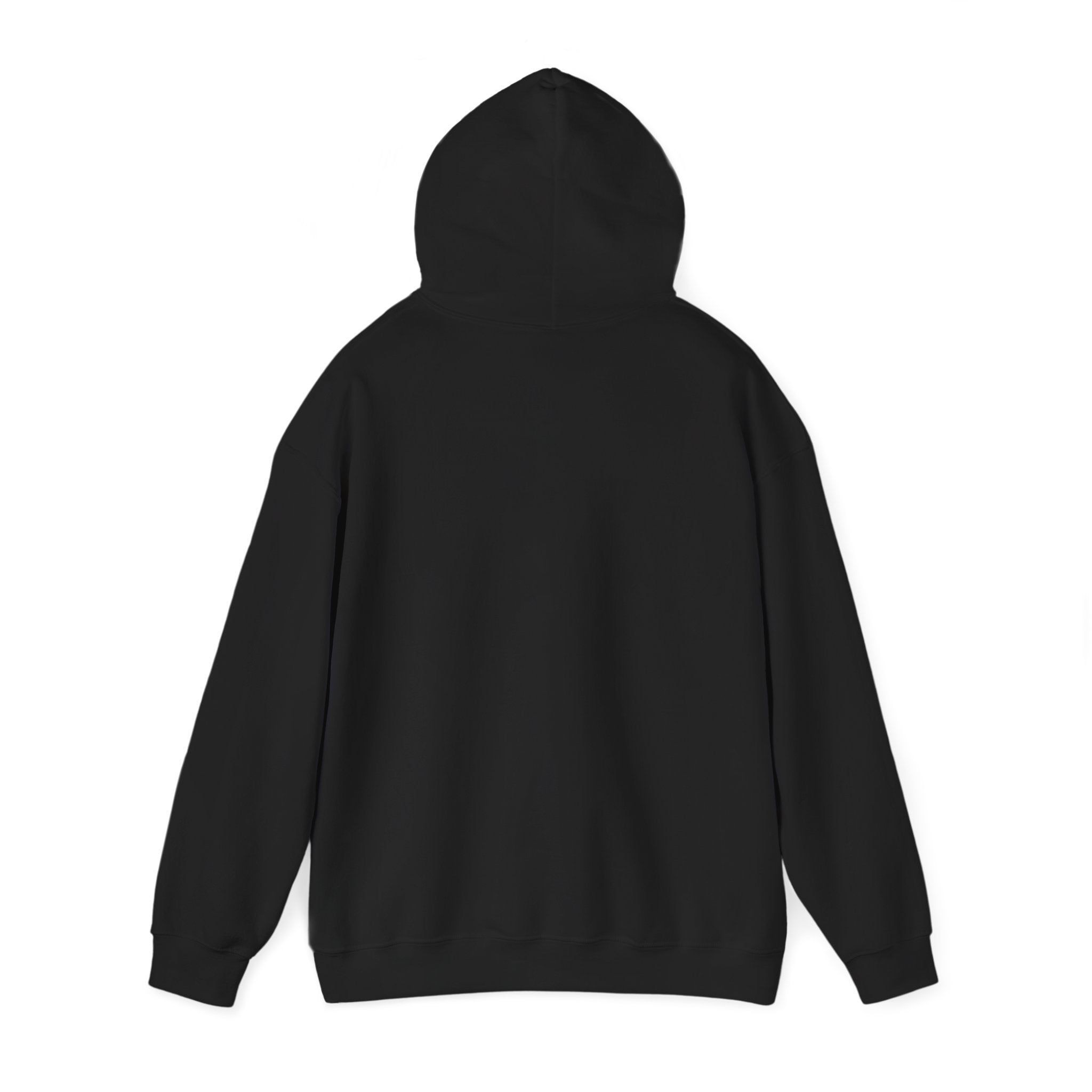 Standards No Lowering Hoodie — Vintage Shield Graphic Pullover