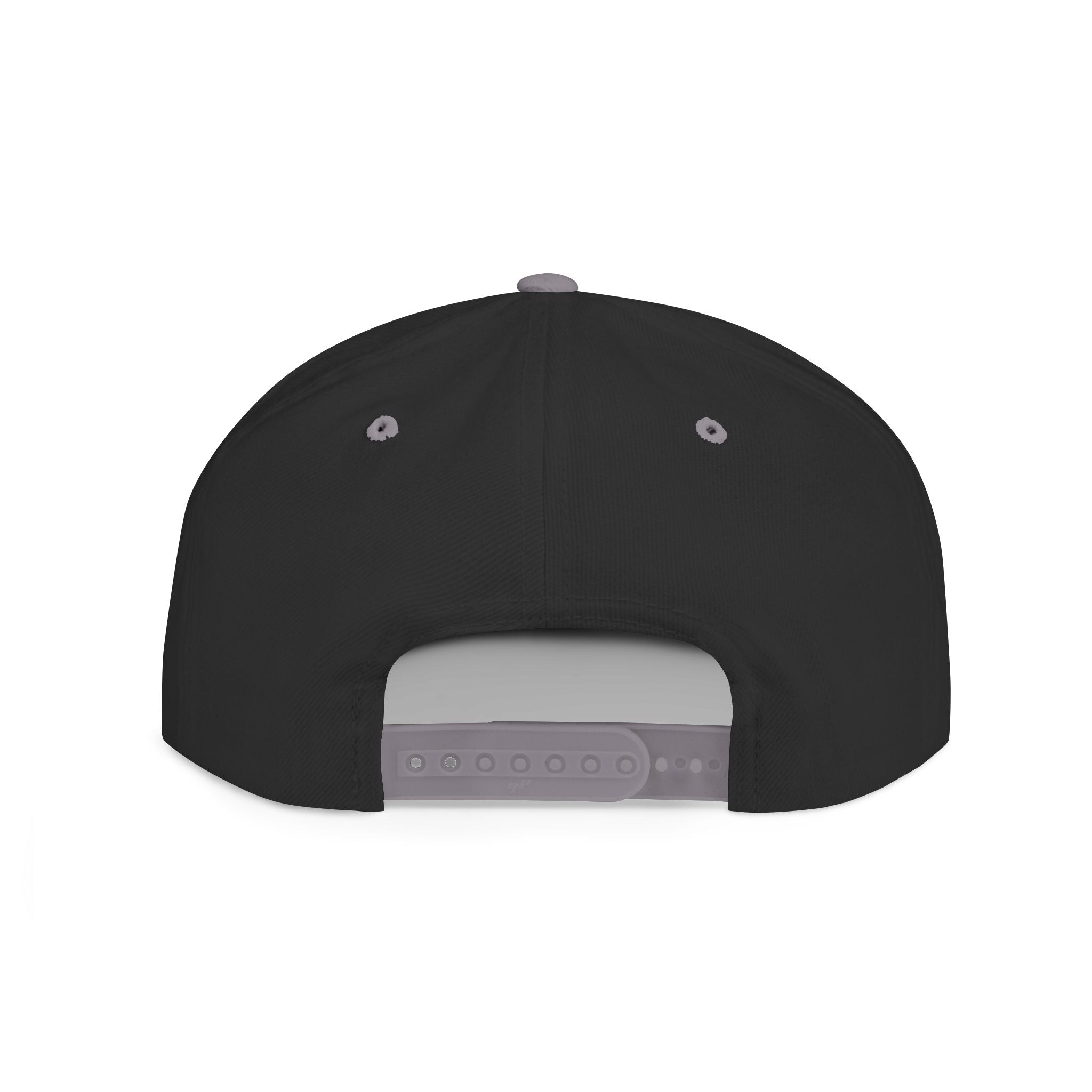 No Lowering Snapback — Vintage Patch