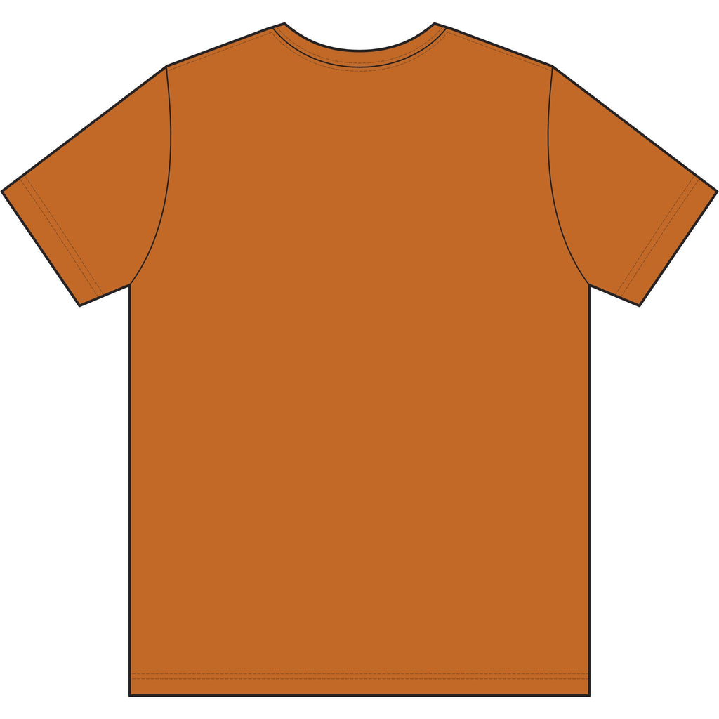 Men's Polyester T-Shirt