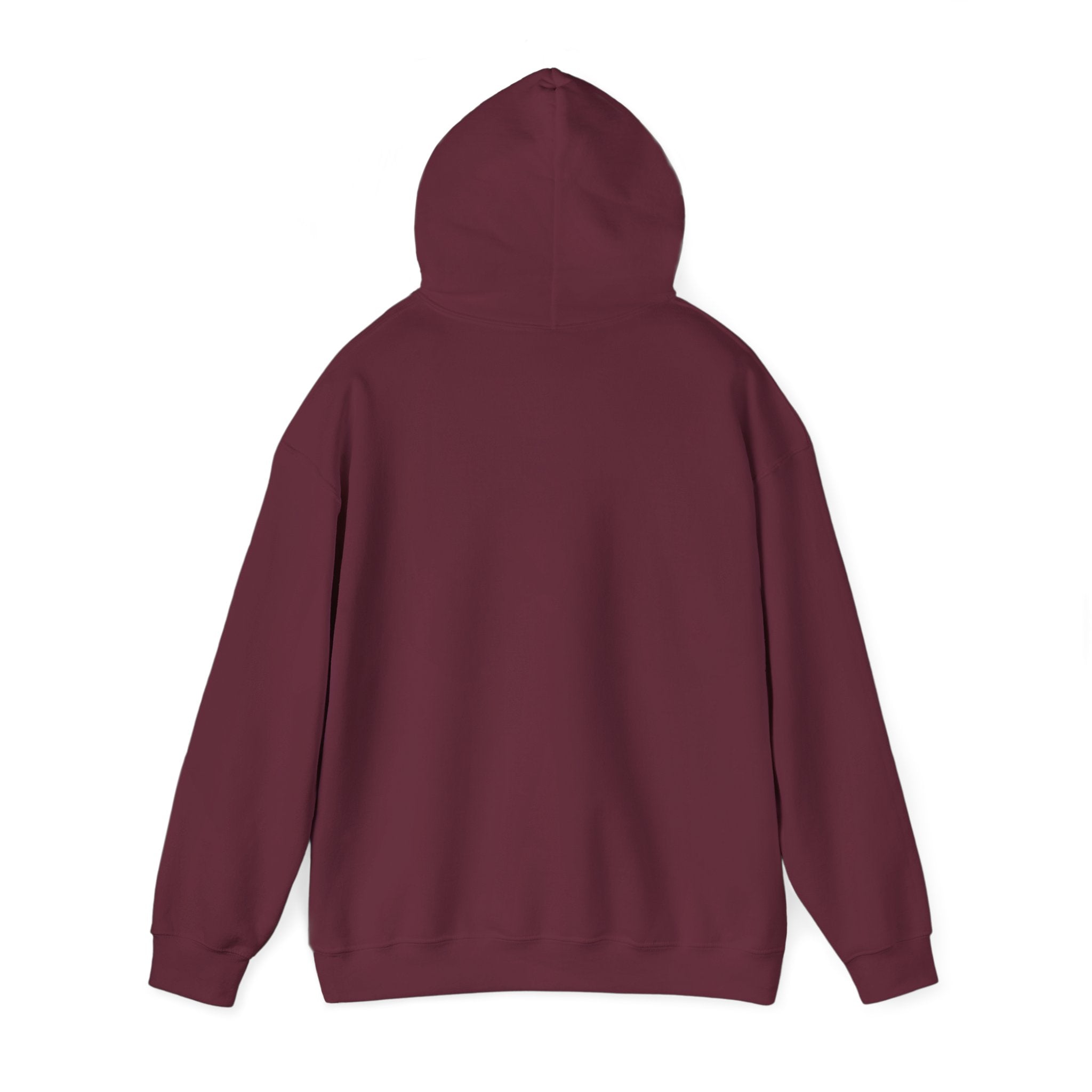Standards No Lowering Hoodie — Vintage Shield Graphic Pullover