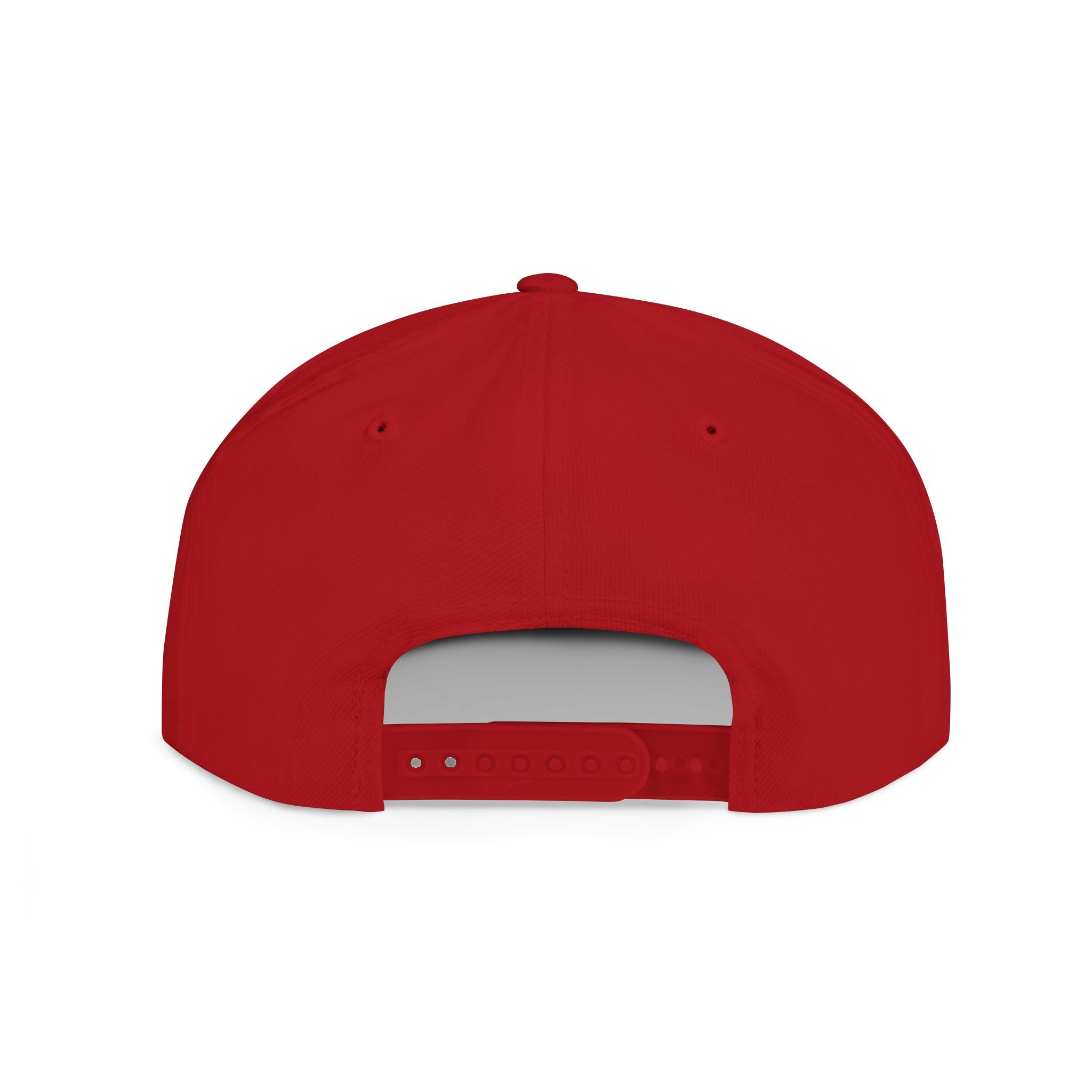 No Lowering Snapback — Vintage Patch