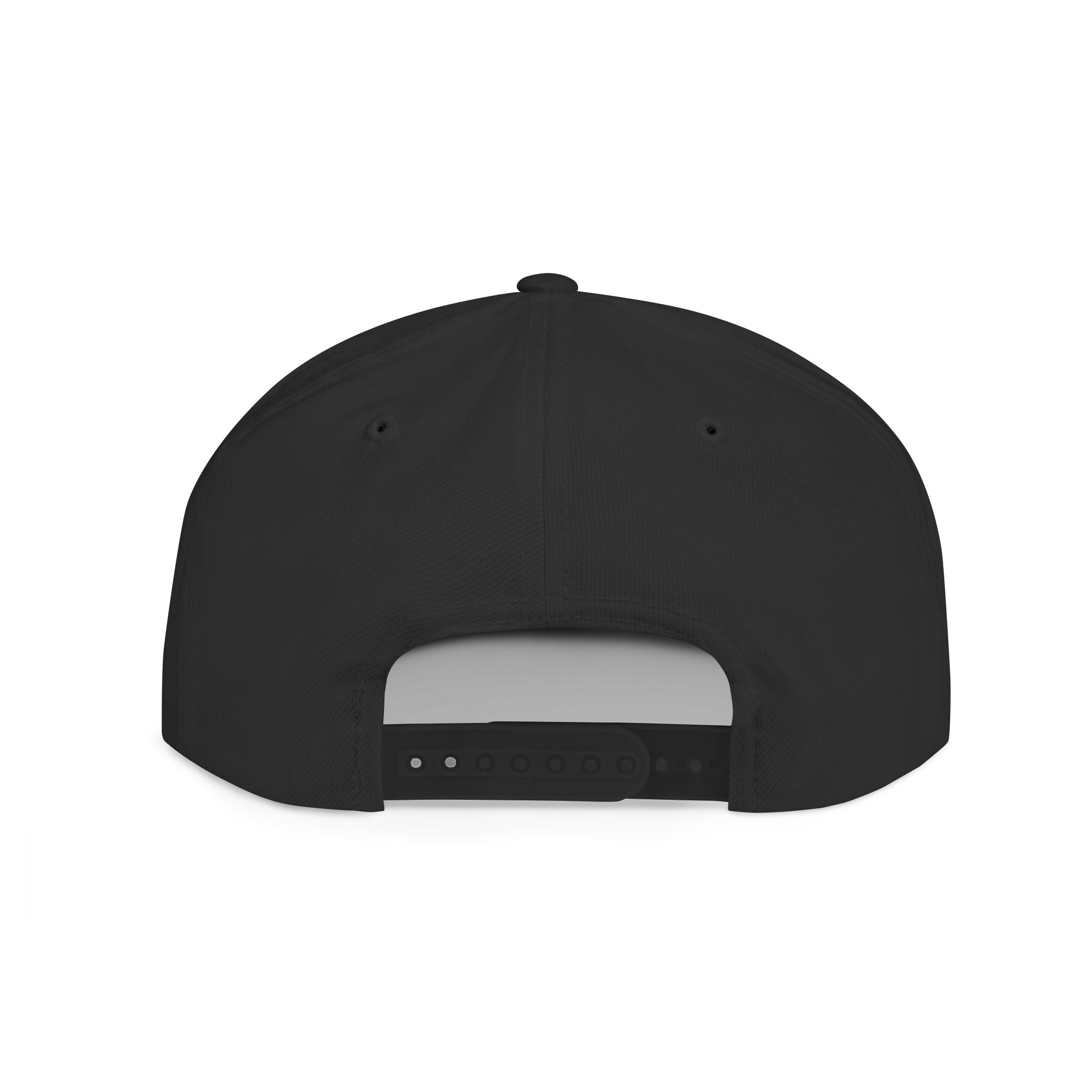 No Lowering Snapback — Vintage Patch