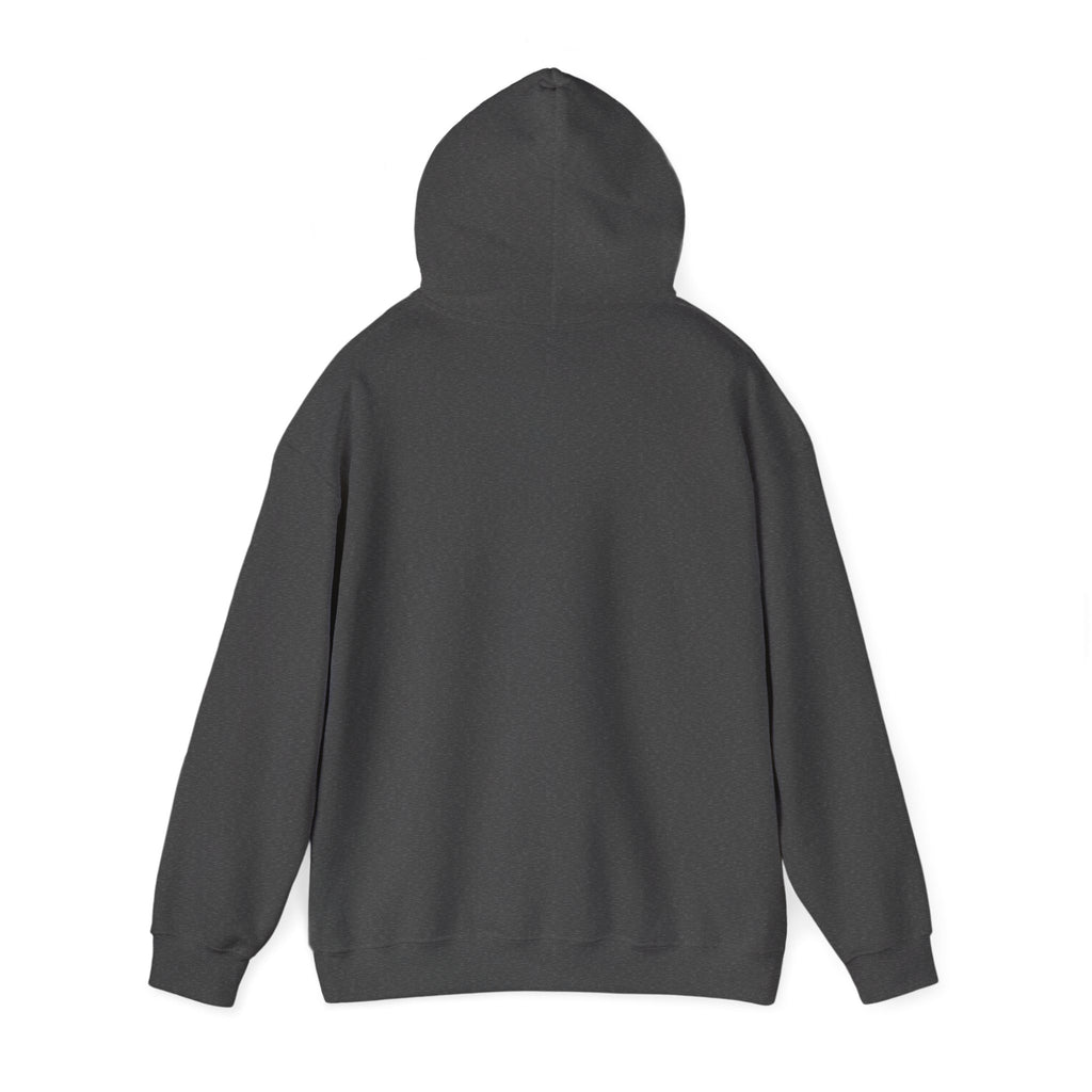 Standards No Lowering Hoodie — Vintage Shield Graphic Pullover