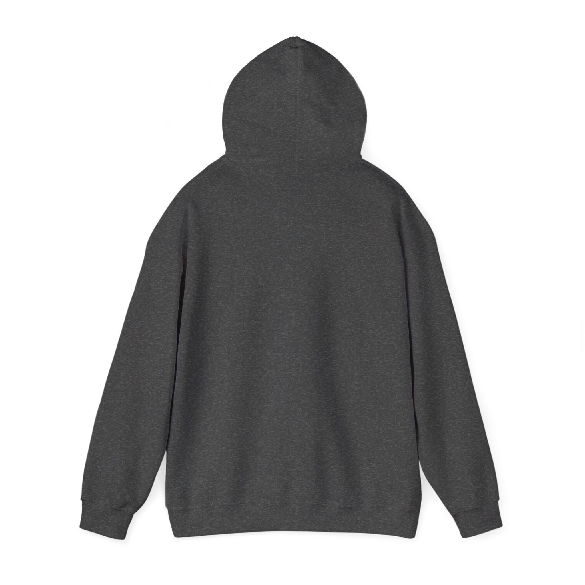 Standards No Lowering Hoodie — Vintage Shield Graphic Pullover