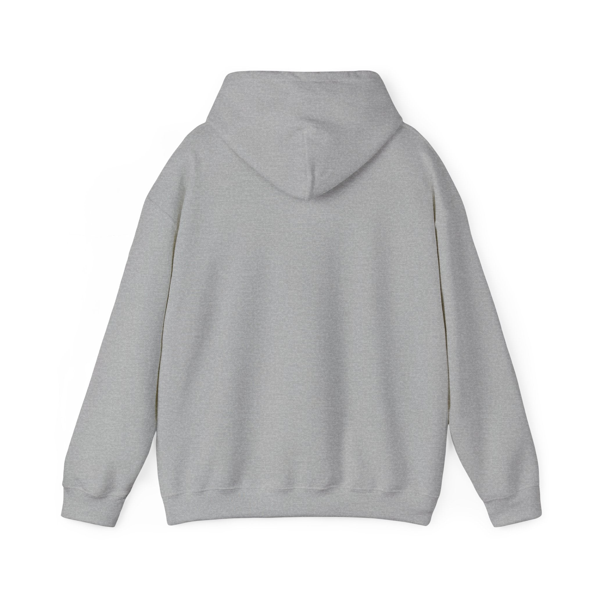 Standards No Lowering Hoodie — Vintage Shield Graphic Pullover