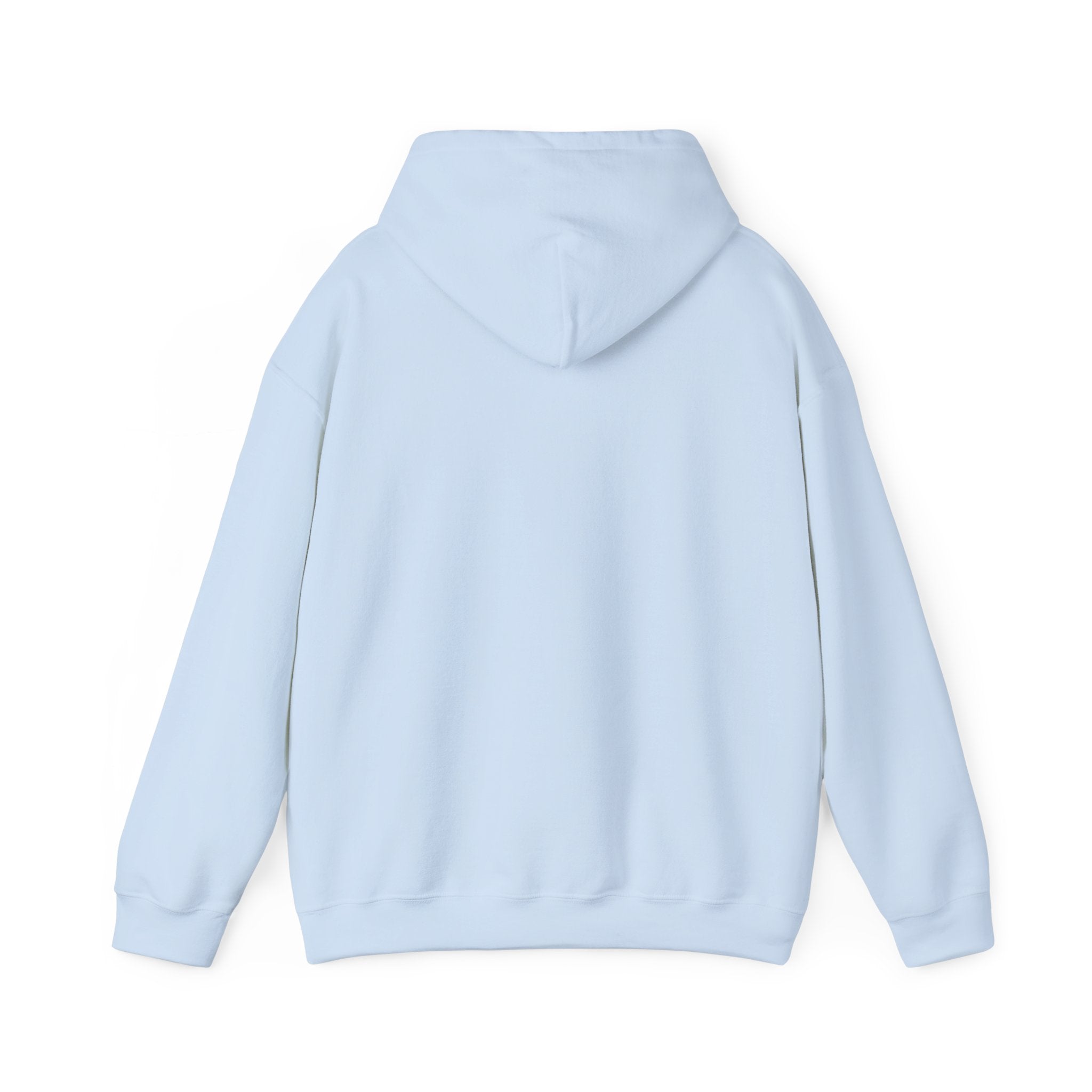 Standards No Lowering Hoodie — Vintage Shield Graphic Pullover